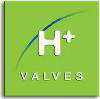 H+ VALVES w֡BO֡Bu֡Bu_BBy